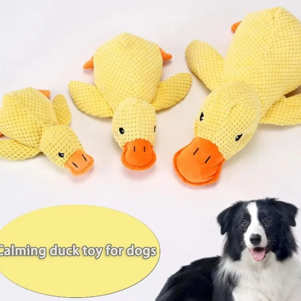NWT 4 Piece Dog Toy Set